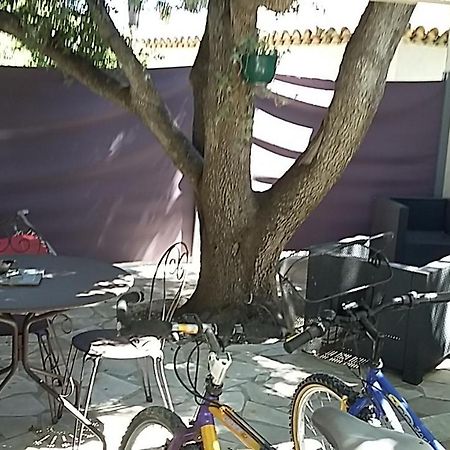 Chambrestudio Bord De Mer, Piscine Six-Fours-les-Plages Εξωτερικό φωτογραφία